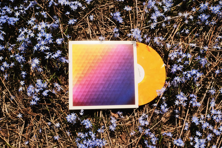 ISS002: 36 - Circuit Bloom | Special Species Records