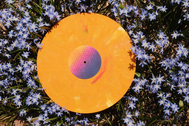 ISS002: 36 - Circuit Bloom | Special Species Records