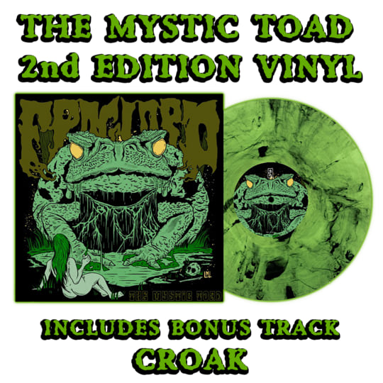 The Mystic Toad | Froglord