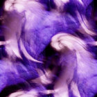 c333b thumbnail