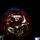 yayd_n thumbnail