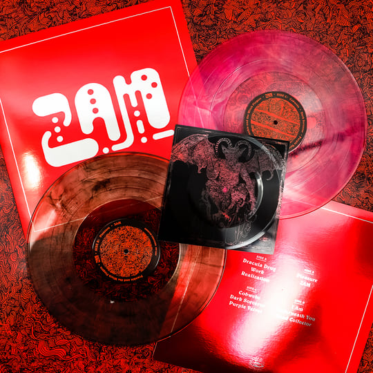 ZAM | Frankie and the Witch Fingers