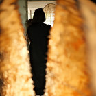 evocen thumbnail