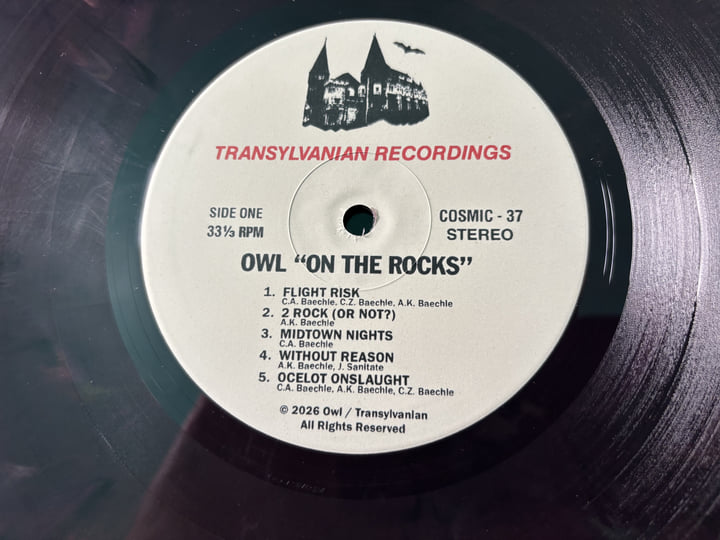 On The Rocks | Owl