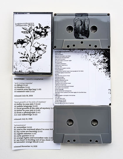 a shoebox of letterstoyou | LETTERSTOYOU | Zegema Beach Records