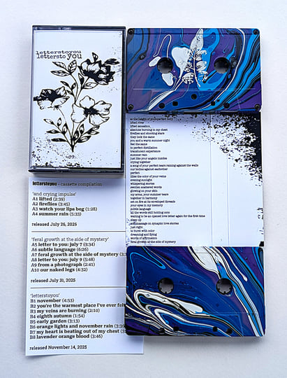 a shoebox of letterstoyou | LETTERSTOYOU | Zegema Beach Records