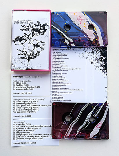a shoebox of letterstoyou | LETTERSTOYOU | Zegema Beach Records