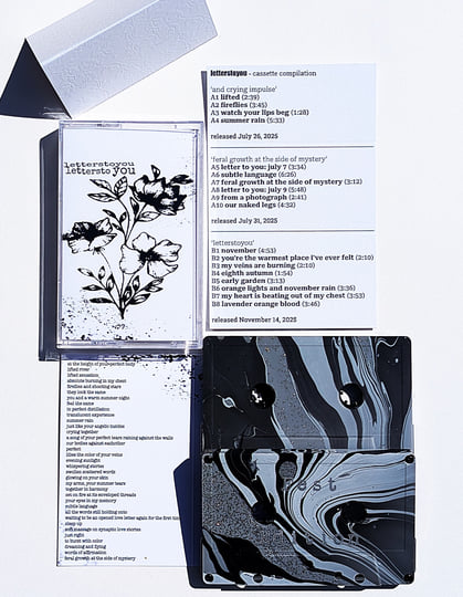 a shoebox of letterstoyou | LETTERSTOYOU | Zegema Beach Records