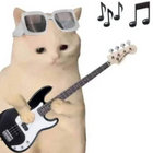 doodle bop thumbnail