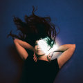 Mynolia photo