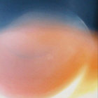 1212 thumbnail