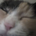 Funeral thumbnail
