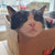 nacoul thumbnail