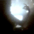 Hedgerowe thumbnail