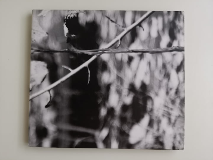 Handmade editions | Maurizio Bianchi / M. B.