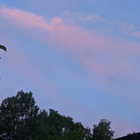 seri thumbnail