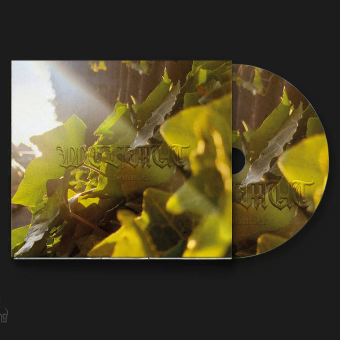 IV: Sommer – CD | 4-Panel DigiPak