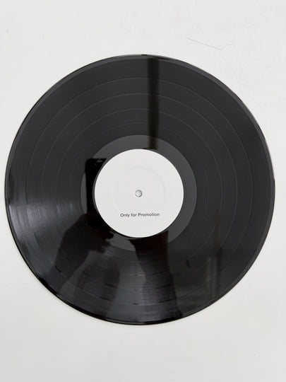 レコードコレクション - Andy Williams, GAROなど The Problem of Leisure. A celebration of Andy Gill and Gang of