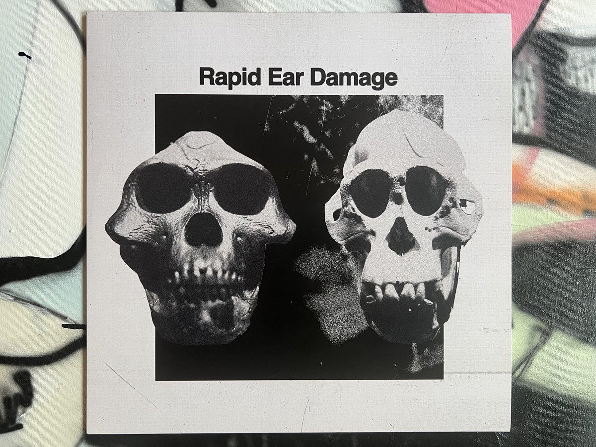 HNRLP031: R.E.D | Rapid Ear Damage | Höga Nord Rekords