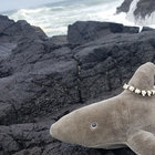bitsyshark thumbnail