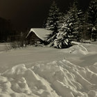 elsa-1 thumbnail