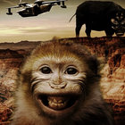 Sam(maybe from field creek) thumbnail