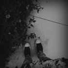 Mortui thumbnail