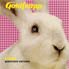 bunny thumbnail