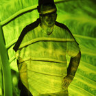 Ian Macdonald thumbnail