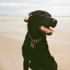 rosie_e thumbnail