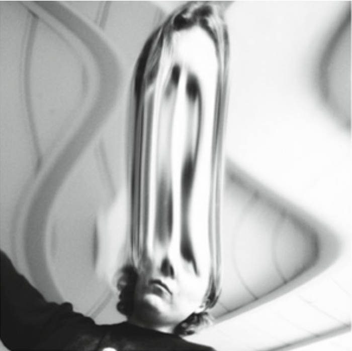 Ty Segall Freedom’s Goblin 2LP USサイケガレージ Freedom's Goblin | Ty Segall