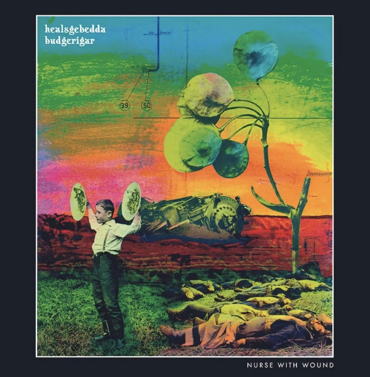 Nurse With Wound 'Healsgebedda Budgerigar' Expanded CD | ICR