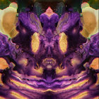 1004vdbfjsksi94738gruhs02 thumbnail