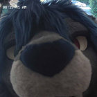 nyms thumbnail