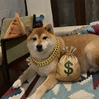Hebatheshiba thumbnail