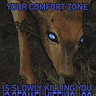 mondo_mondo thumbnail