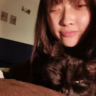 naping sun thumbnail