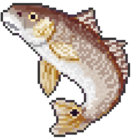 fish_fact_friday thumbnail