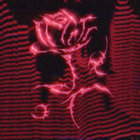 digitalroze thumbnail