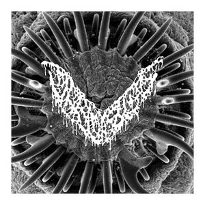 Vermifuge