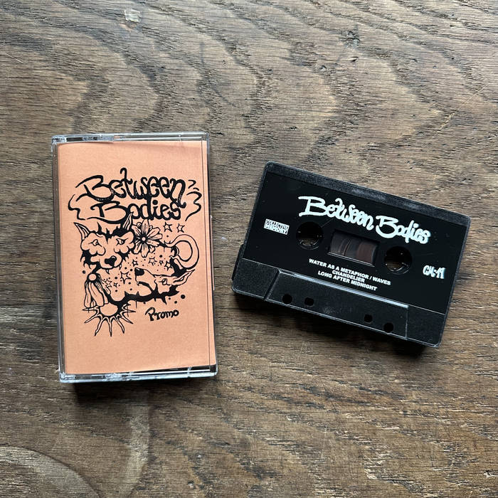 Hands To Hold Each Other – Promo Tape
