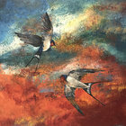 Northern_WingBeats thumbnail