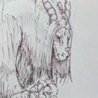 C.E. thumbnail