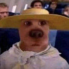 samirr__af thumbnail