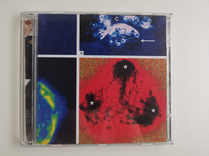 Handmade editions | Maurizio Bianchi / M. B.