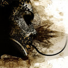 Contamination rises | No Return