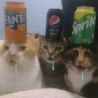 Sumthin thumbnail