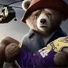soyfsh thumbnail