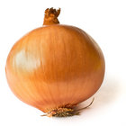 Onion thumbnail