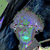 Richard Charles thumbnail